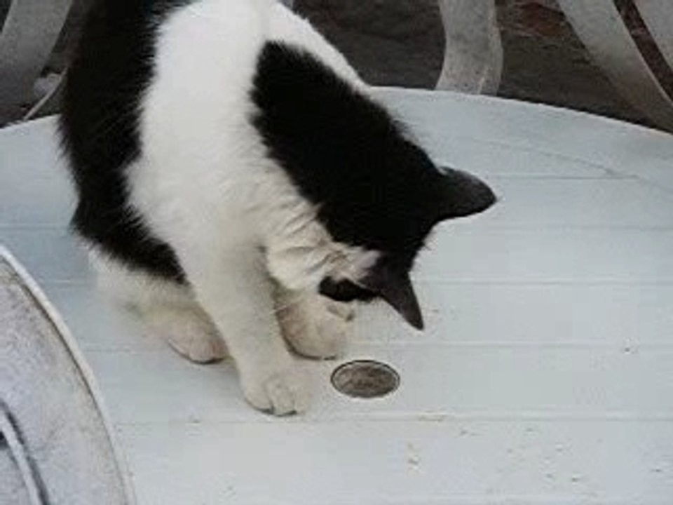 Photo 2143