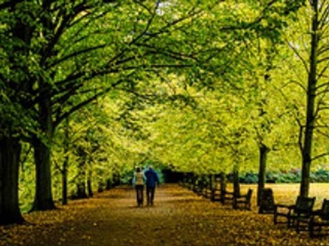 シャンソン【愚かな日々に】 JE PORTE PLAINTE COTRE NON COEUR (エンリコ・マシアス & ENRICO MACIAS) / 訳詞初稿　Sima