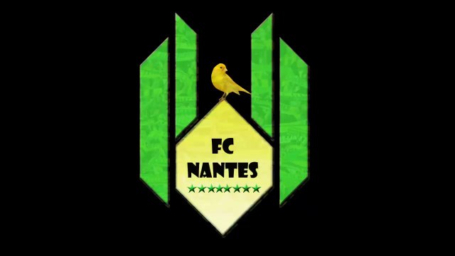 Gagnant de la place en Tribune Loire pour le match Nantes Rennes