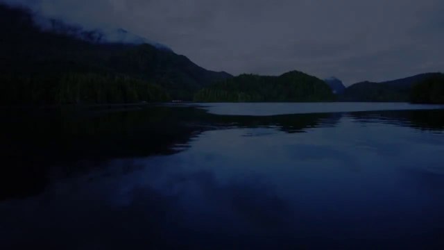Découvrez la Great Bear Rainforest et Explorez la colombie britanique au Canada