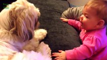 Funny Babies Talking to Dogs Compilation 2014
