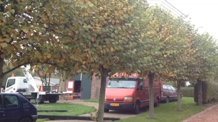 Bekijk: Usquerder molen krijgt nieuwe roeden - RTV Noord