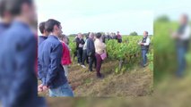 Covigneron, location de vignes et bouteilles personnalisées