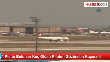 Atatürk Havalimanında Kuş Alarmı