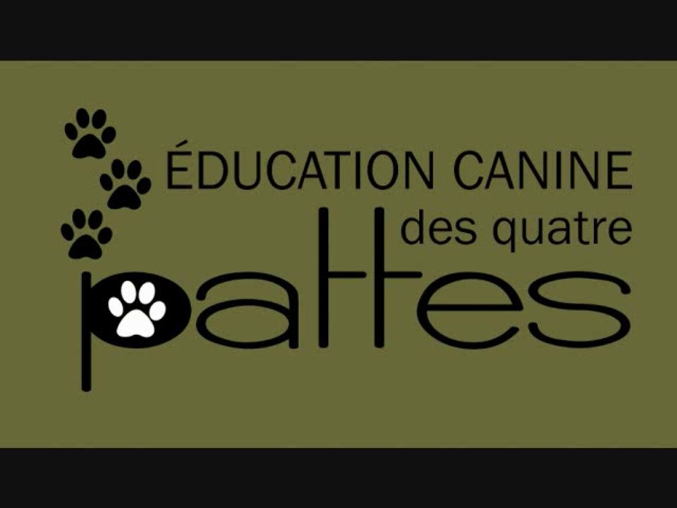 Dressage canin: Faire de la course ou du jogging avec son chien.