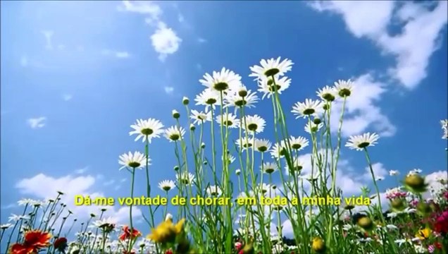 Dio Como Te Amo Gicliola Cinquetti José Macedo productions