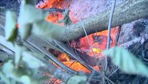 Des centaines d'hectares de maquis brûlent en Haute-Corse
