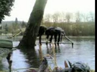 Tom, dam et mat retourne le bateau