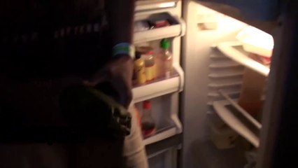 Hed PE - BUS INVADERS Ep. 705