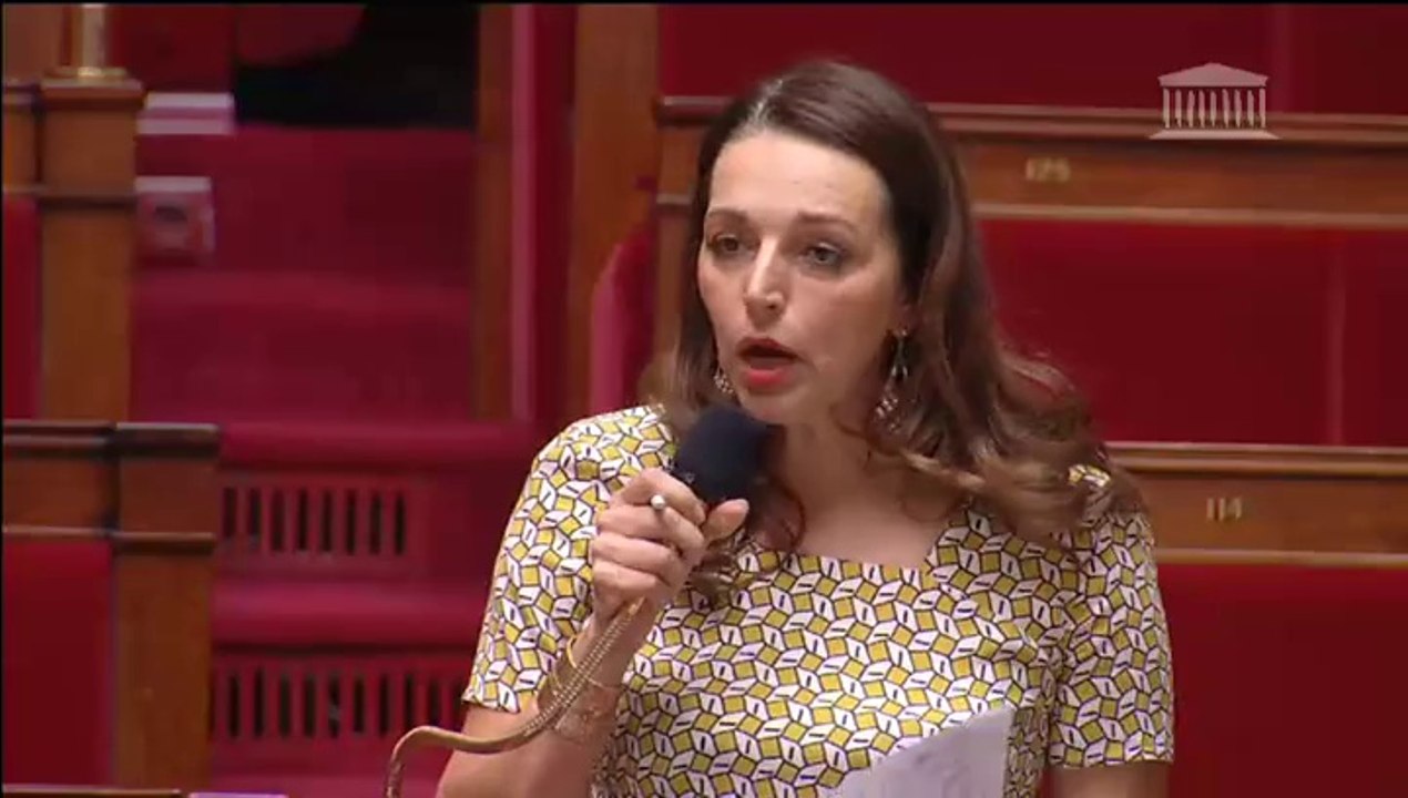 Valérie Boyer - "La famille est soumise à une triple peines" (PLFSS 2015)