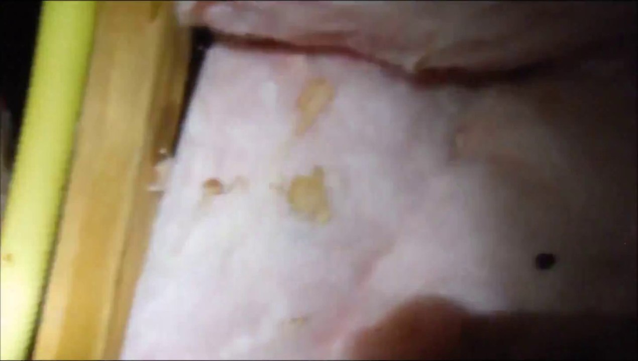 Boise Home Inspectors | Bent Nail Inspections