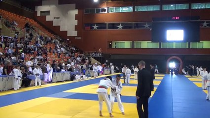 ZOLAN Nam Phuong Lael A Benjamin Dijon 2014