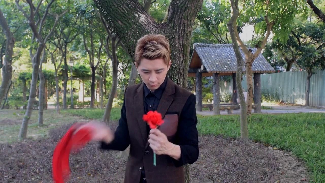 White Flash Flower by GD Wu & GT magic store - Magic Trick