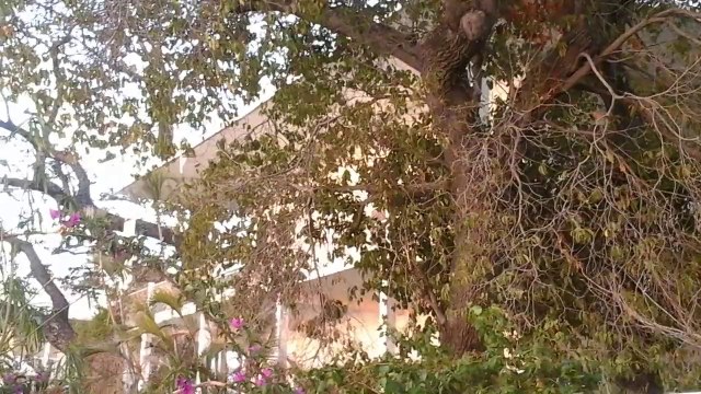 Coucher de soleil 23 Octobre 2014 Port Ouest Réunion.