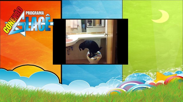 Conexão Glacê 1379 Terça 14-10-2014 Bloco 1