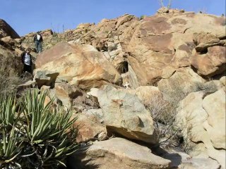 Don't Go To Pinto by Mariachis Gringos and The Electric Trunk