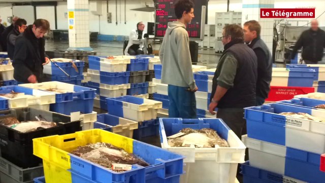 Le Guilvinec (29). Visite du secrétaire d'Etat à la Pêche à la criée