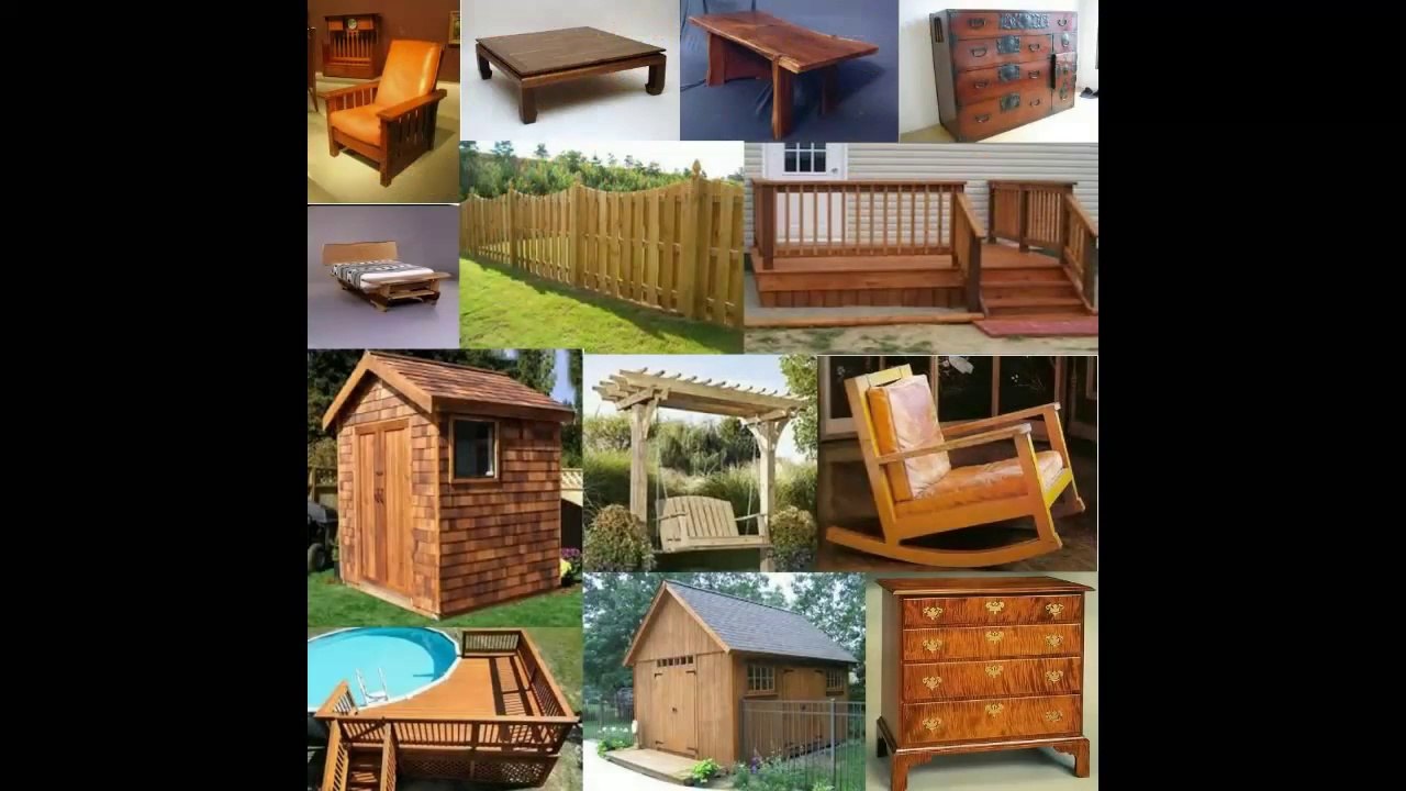 ~ Cardinal Birdhouse Plans ~ Nothing Left to the Imagination ~ No Missing Steps ~ Awesome!