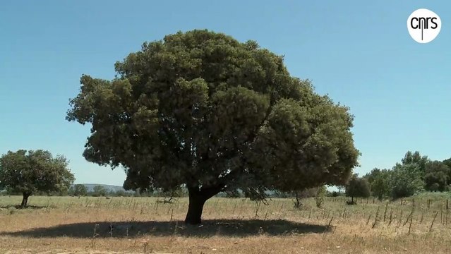 Qui sème le vent récolte des données