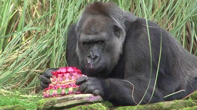 AFP - Le JT, 1ère édition du vendredi 24 octobre