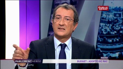 François Lamy à propos de la création de 50 000 emplois aidés" cela veut dire que de temps en temps on est entendu"