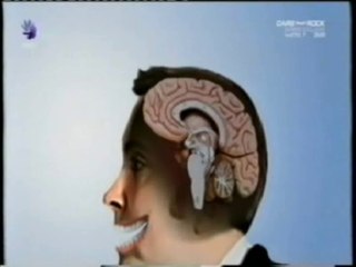 Neurociencia: Historia de la risa