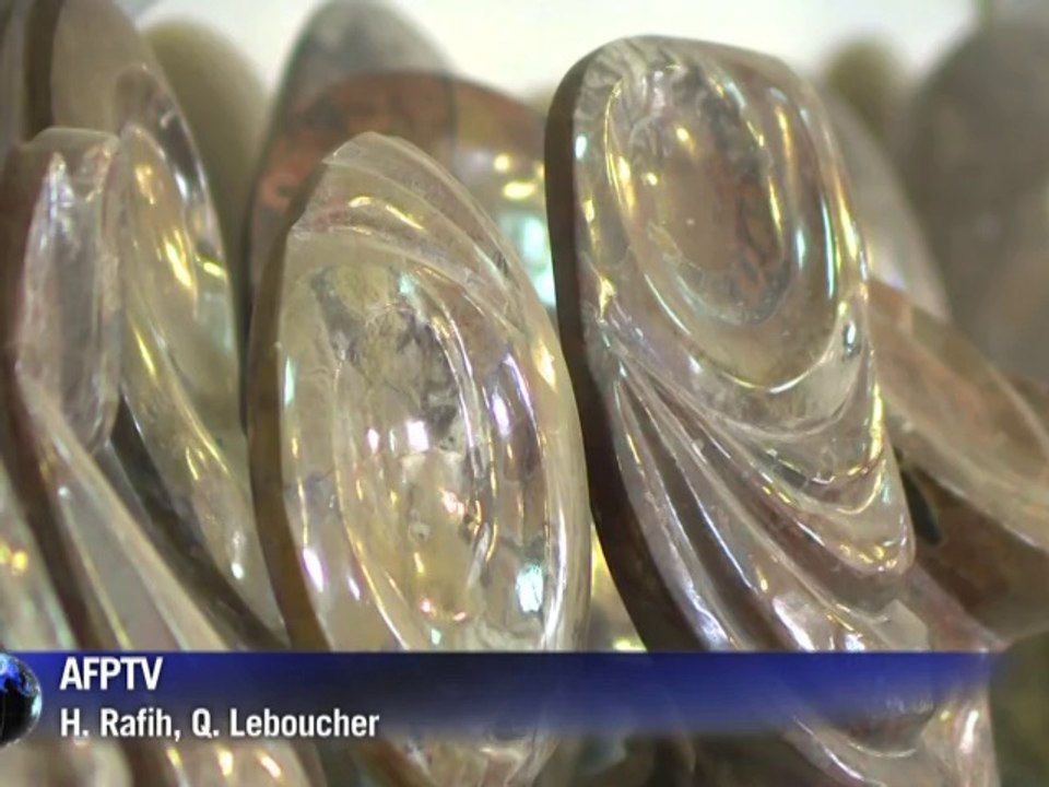 Maroc: les fossiles d'Erfoud, un trésor préhistorique en danger