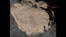 Çatalhöyük Atalarının 10 Bin 500 Yıllık Parmak İzi Bulundu