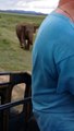 Crazy elephant attacks a jeep safari on Sri Lankan!
