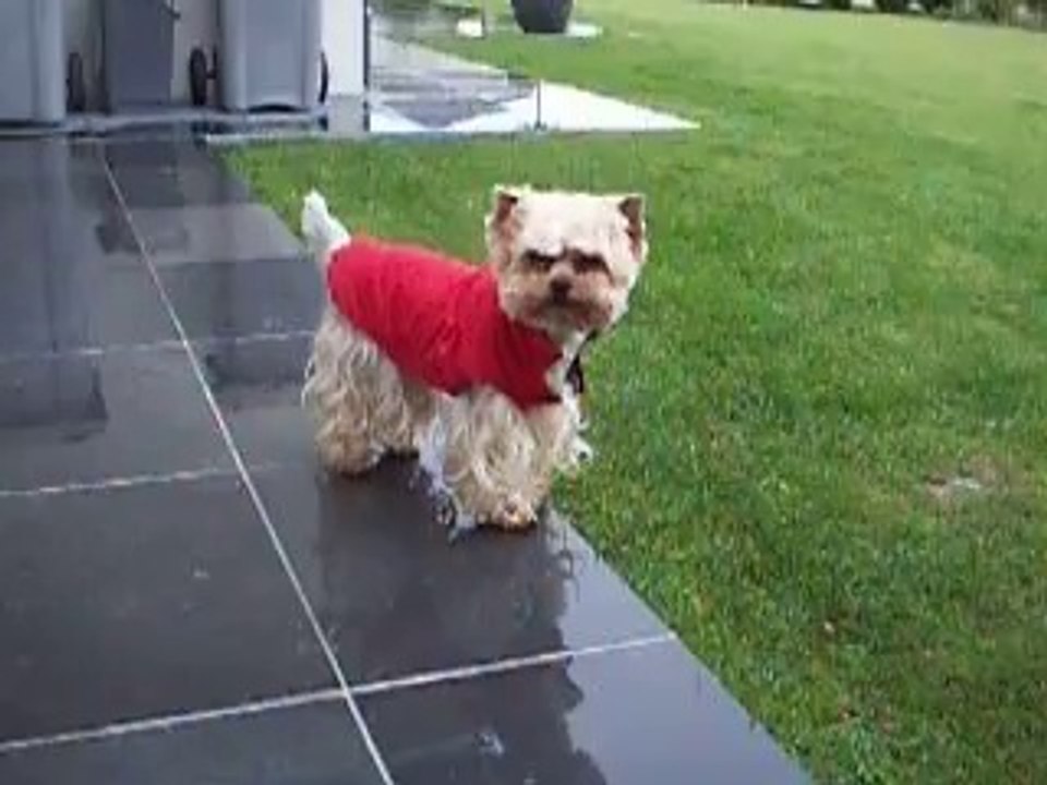 Sous la pluie
