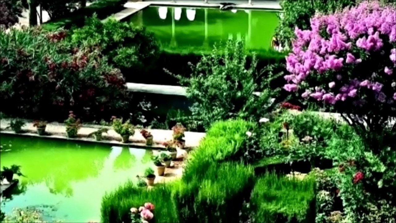 "Ya assafi" Andalou Algérois, Omar Benamara et son ensemble