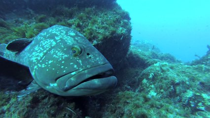 Un jour d'automne à la Gabinière de Port-Cos