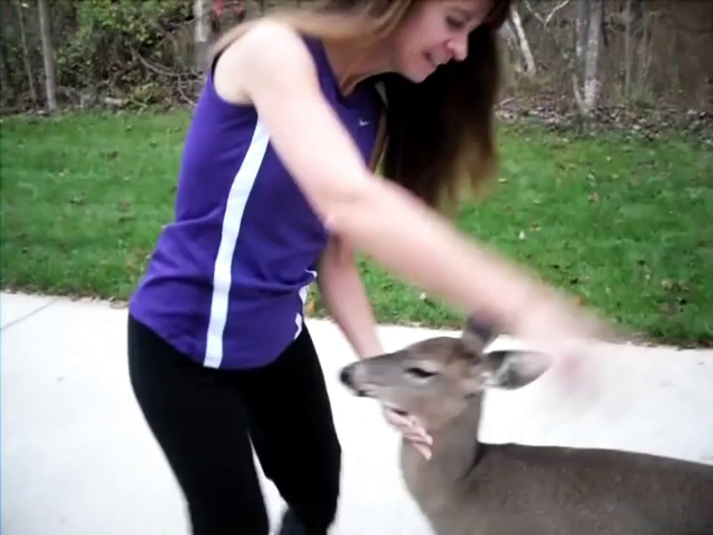 Elle Nourrit Une Biche Au Biberon Dans Sa Cuisine Video Dailymotion