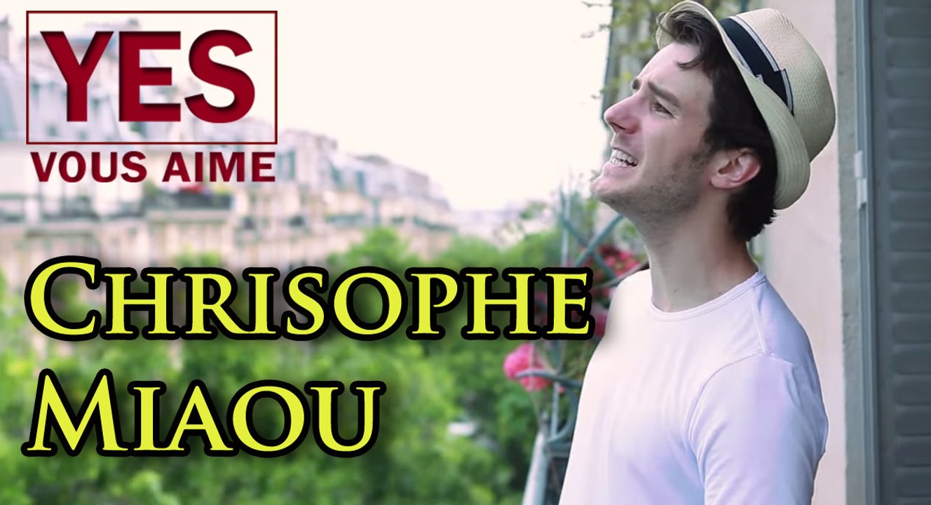 Christophe Miaou - Fleche illusionnée