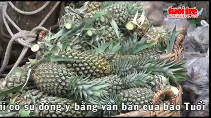 Nổ ghe hàng ở chợ nổi Cái Răng