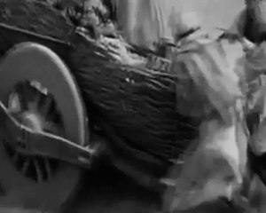 The Potentials of Pakistan