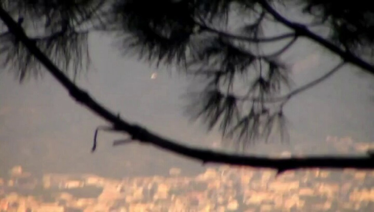 UFO su Napoli il 23.10.2014? No! E' solo un gabbiano