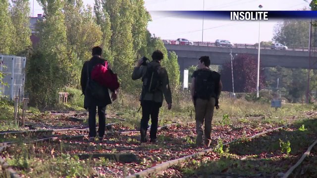 AFP - Le JT, 2ème édition du vendredi 24 octobre. Durée: 01:46