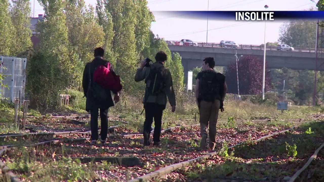 AFP - Le JT, 2ème édition du vendredi 24 octobre. Durée: 01:46