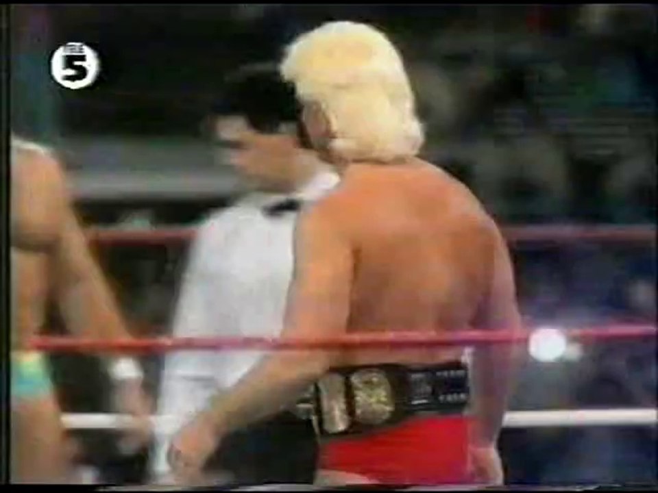 WWF Ring Frei 29/05/92