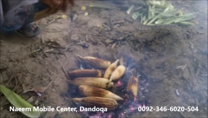 Zarhgia Kaly De Pa Sar Waghasto (Attanrh)