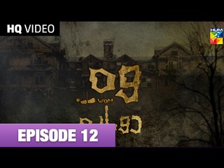 Woh Dobara Episode 12 on Hum tv 24th October 2014 Full Episode