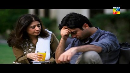 Humsafar HUMTV Epiosde 13 HUM TV Drama