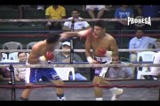 Pelea Sergio Gomez vs Jose Gutierrez - Videos Prodesa