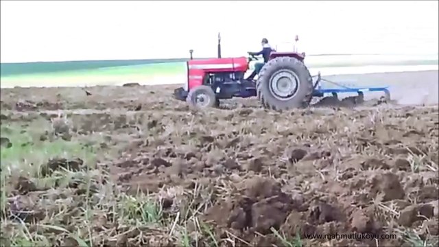 Köy Tarlasi 10 'cu ay 2014 - Mahmutlu Koyu