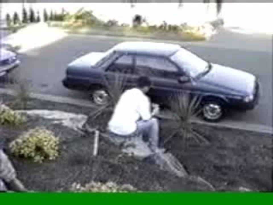 Regis fait du jardinage