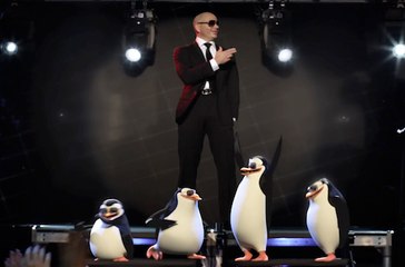 Les Pingouins de Madagascar - Clip Pitbull