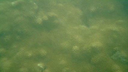 Praia da Picinguaba, Mares, Cavernas Submarinas, Ubatuba, SP, Brasil, Marcelo Ambrogi, (7)