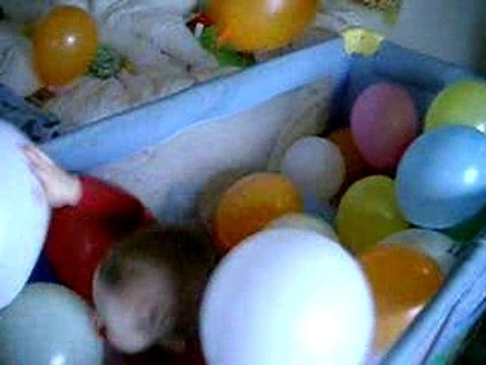 Nolann ballon