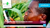 Sur le Net - Le numérique africain à la croisée des chemins
